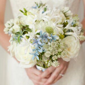 Meet your Posher, Blondell